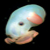 :iconoctopus-dumbo: