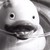 :iconoctopus-wakah:
