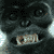 :iconoctowobigon: