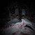 :iconoctowolf:
