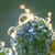 :iconocuriousone: