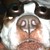 :iconodah9: