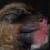 :iconodd-tom: