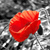 :iconoddball-walking: