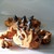 :iconoddjester: