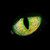:iconoddoleo: