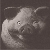 :iconoddonnelle: