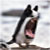 :iconoddraven: