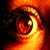 :iconOddy256: