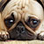 :iconodst333: