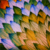 OfDarkLands :iconofdarklands: