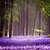 :iconofeliaworbek: