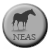 :iconofficial-neas: