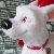 :iconoffthepage13:
