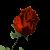 :iconofravensandroses: