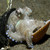 :iconofstones: