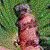 :iconofthemind: