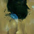 :iconognaerist:
