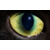 :iconogrt48: