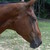 :iconoh-its-bliss: