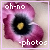 :iconoh-no-photos: