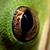 :iconoh-snap-photography:
