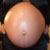 :iconoh2bpreg:
