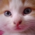:iconohannah: