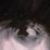 :iconohcanada: