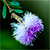 :iconohcean: