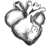 :iconohdaughterofzion: