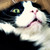 :iconohgowdplz: