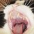 :iconohhaplz: