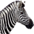 :iconohinternet: