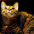 :iconohkittyyy: