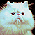 :iconohlovatocyrus: