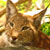 :iconohman-itsme: