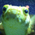 :iconohsoglorious: