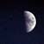 :iconohspeckled: