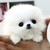 :iconoilballs: