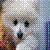 :iconojamajosam: