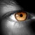 :iconojay777: