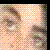 :iconojos-color-bosque: