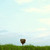 :iconok-rania:
