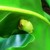 :iconok321: