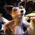 :iconoka-toka: