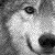 :iconokami-no-oni: