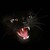:iconokami0221: