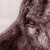 :iconokami0731: