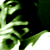 :iconokamiart:
